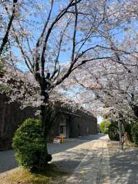 Kurashiki – A Timeless Canvas of Canals and Culture