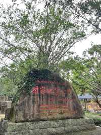 Discovering Hainan’s Ancient Volcanoes at Leiqiong Geopark 🌋
