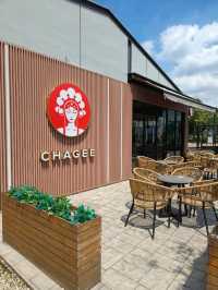 Sunshine & Sips at Chagee JB