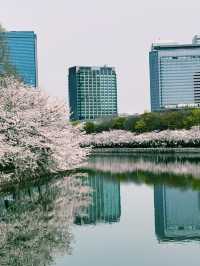 大阪交通攻略｜大阪城公園