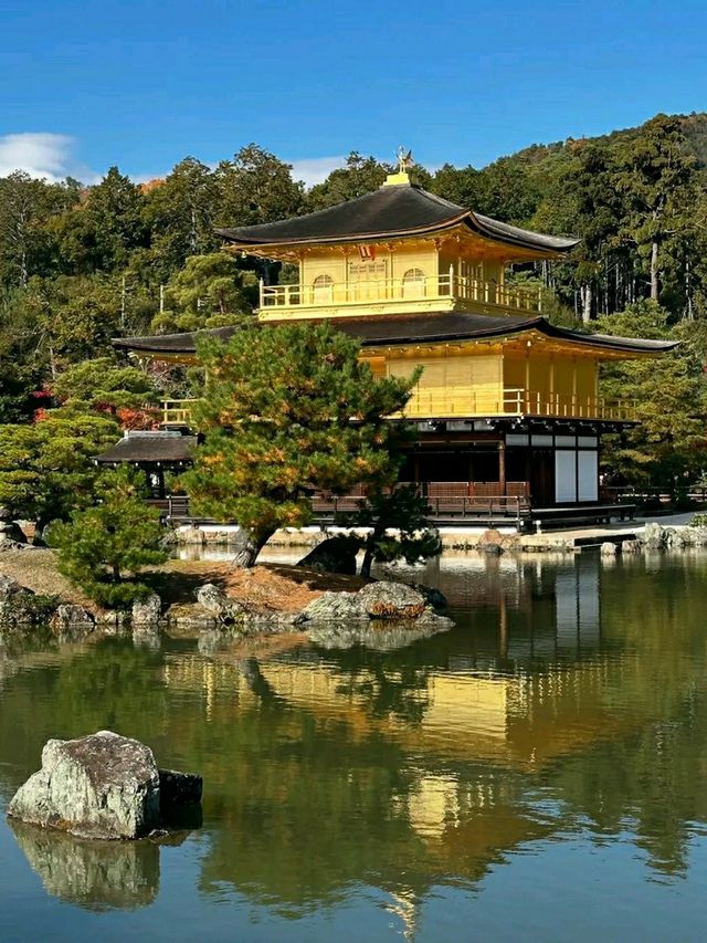 Discovering Kyoto: The Timeless Cultural Heart of Japan
