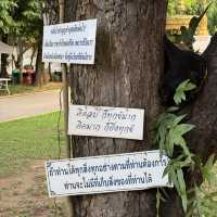 วัดป่าดาราภิรมย์ - แม่ริม