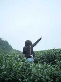 จัดเต็มที่เที่ยวบน•ดอยอ่างขาง•🌳🌧️
