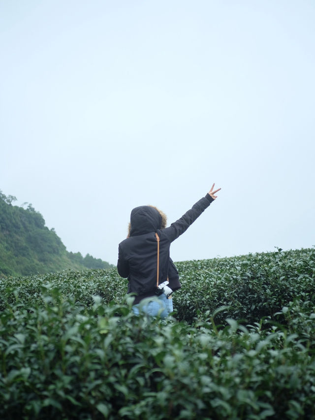 จัดเต็มที่เที่ยวบน•ดอยอ่างขาง•🌳🌧️