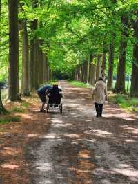Visiting my family after 22 years...back to Belgium.