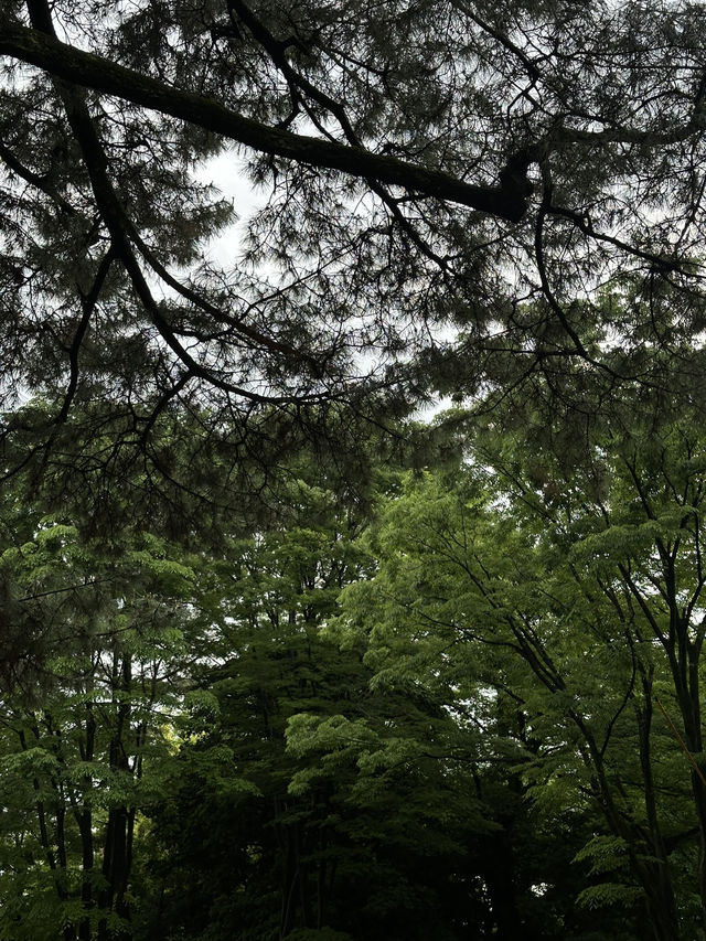 Nagoya Castle Park✨✨