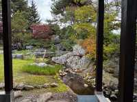 Hidden Gem in Asahikawa: A Tranquil Kaiseki Experience with a Garden View