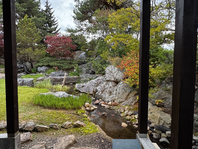 Hidden Gem in Asahikawa: A Tranquil Kaiseki Experience with a Garden View
