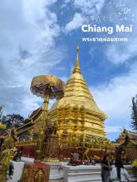 Chiang Mai ✈️