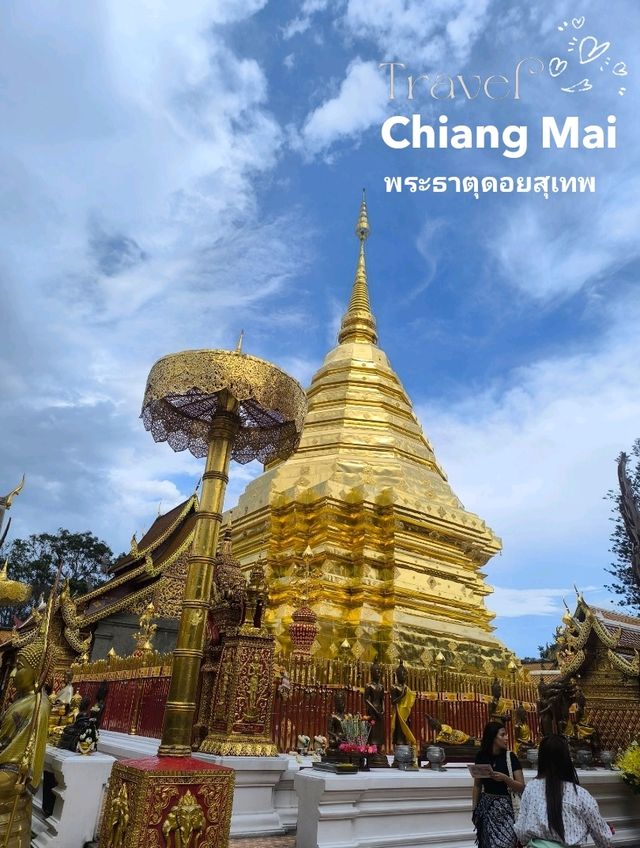 Chiang Mai ✈️
