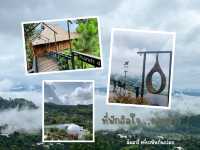 “ดอยช้าง พักใจในสายหมอก หอมกาแฟกลางขุนเขา”
