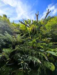 ตากฟ้าคาเฟ่ - บ้านสวนณัฐธีร์