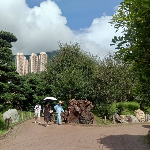 Nan Lian Garden: A Tranquil Escape in the Heart of Hong Kong