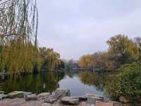  My Beijing Zoo Panda Experience 🐼