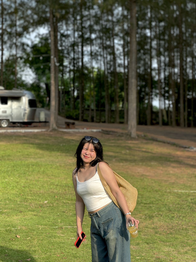 ป่าสนที่ไม่ต้องไปไกลถึงเชียงใหม่ 🌲