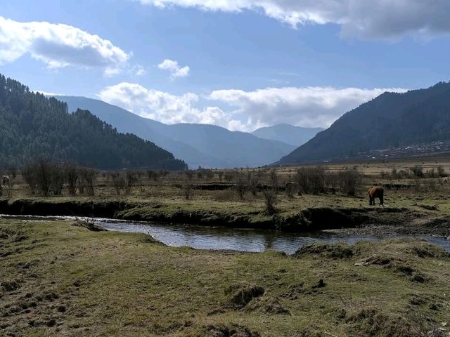 Chill Hills, Dzong Views, and Pure Bhutan Vibes