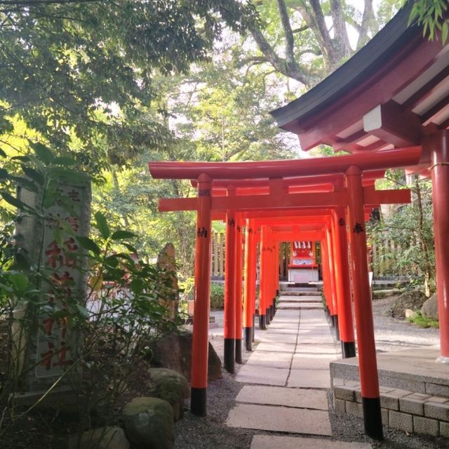 【熱海】来宮神社