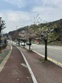 🌿 도심 속 작은 호수, 명암저수지에서의 여유로운 산책