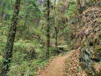 Buddha Dordenma – Serenity Above the Clouds in Thimphu