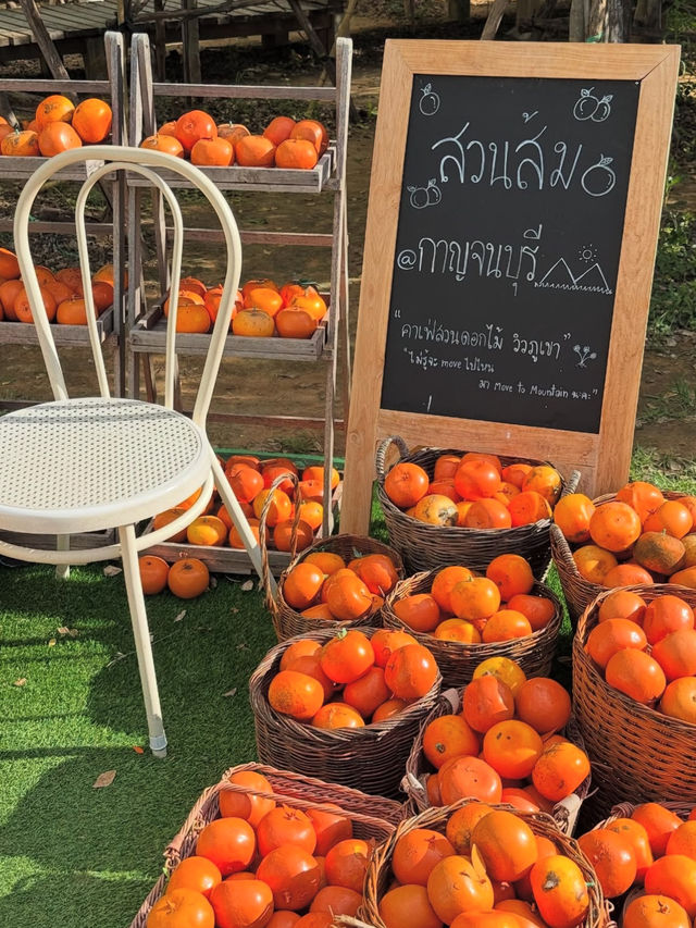 คาเฟ่ Move To Mountain