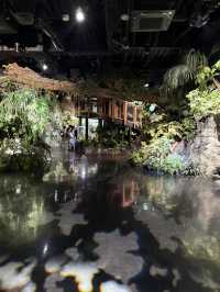 沖繩｜麻雀雖小、五藏俱全，DMM水族館主打互動體驗