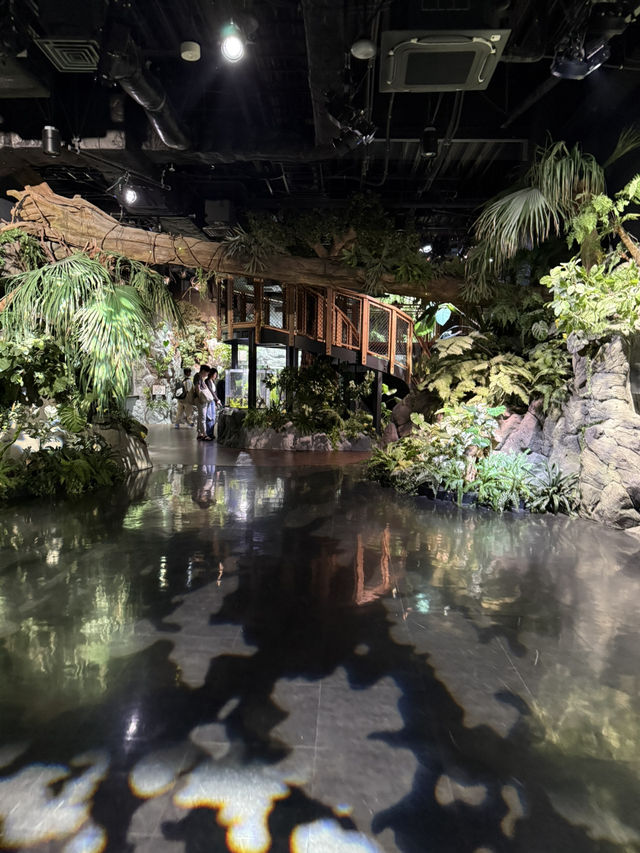 沖繩｜麻雀雖小、五藏俱全，DMM水族館主打互動體驗