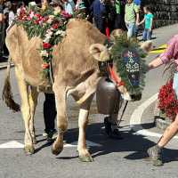 🐄🌿 Almabtrieb: A Swiss/Austrian Autumn Festival Celebrating the Cattle Homecoming