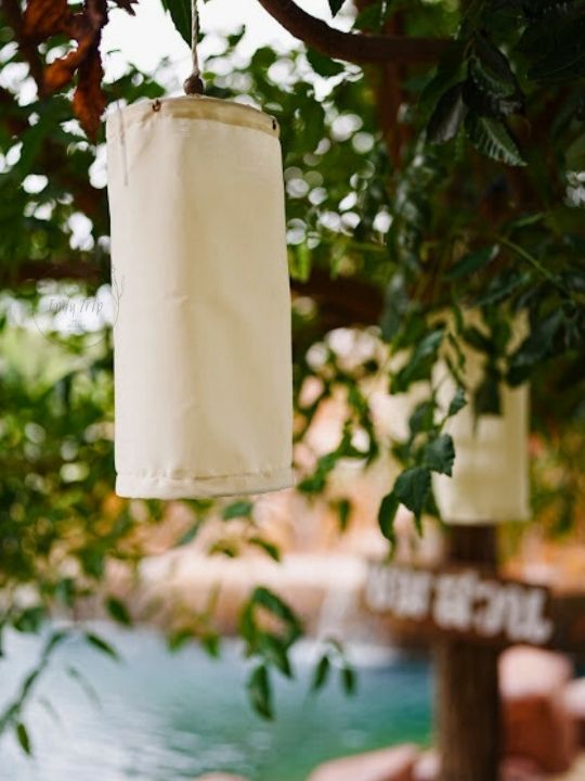 🧃 The Nature Cafe