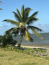 Nadi, Fiji FUN