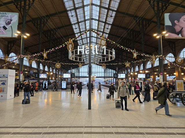 🚄ヨーロッパ交通事情🚆🚖