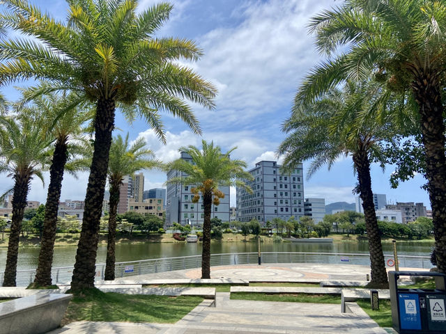 深圳萬豐湖濕地公園✨🌴城市中的自然綠洲🏞️