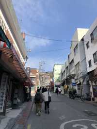 Spring in Ihwa Mural Village