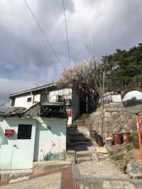 Spring in Ihwa Mural Village