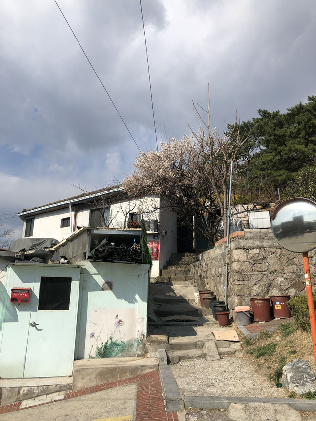 Spring in Ihwa Mural Village