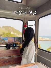 해운대 여행지 핫플만 다녀와봄 (2편) 🐡🐟🐙