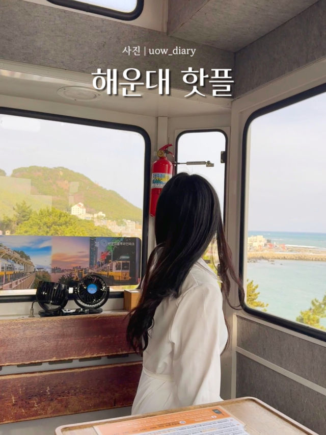 해운대 여행지 핫플만 다녀와봄 (2편) 🐡🐟🐙