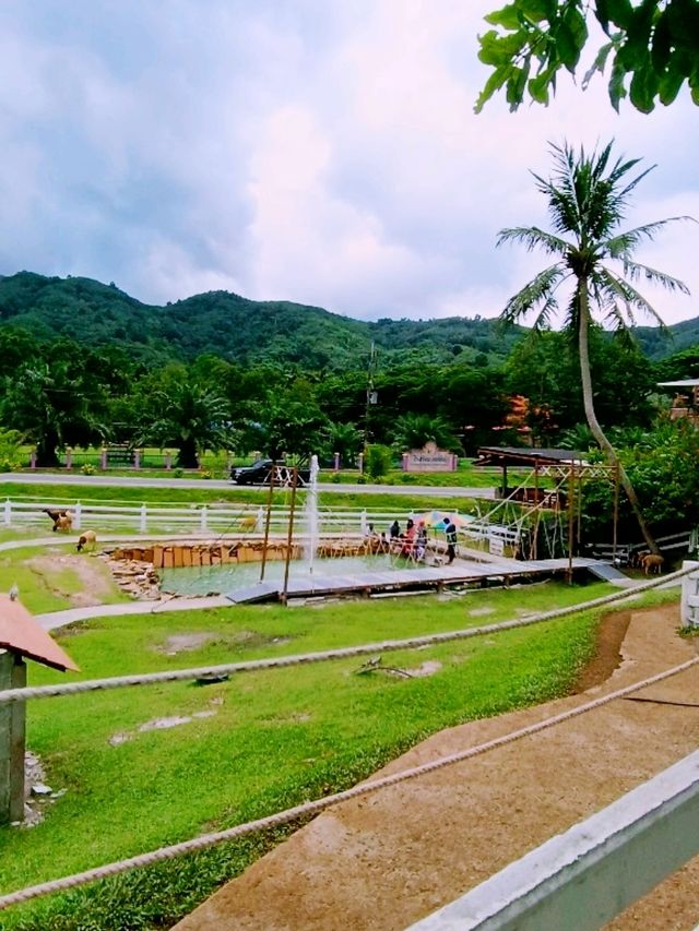 ลานสกาฟาร์มแกะ (Lansaka Sheep Farm)
