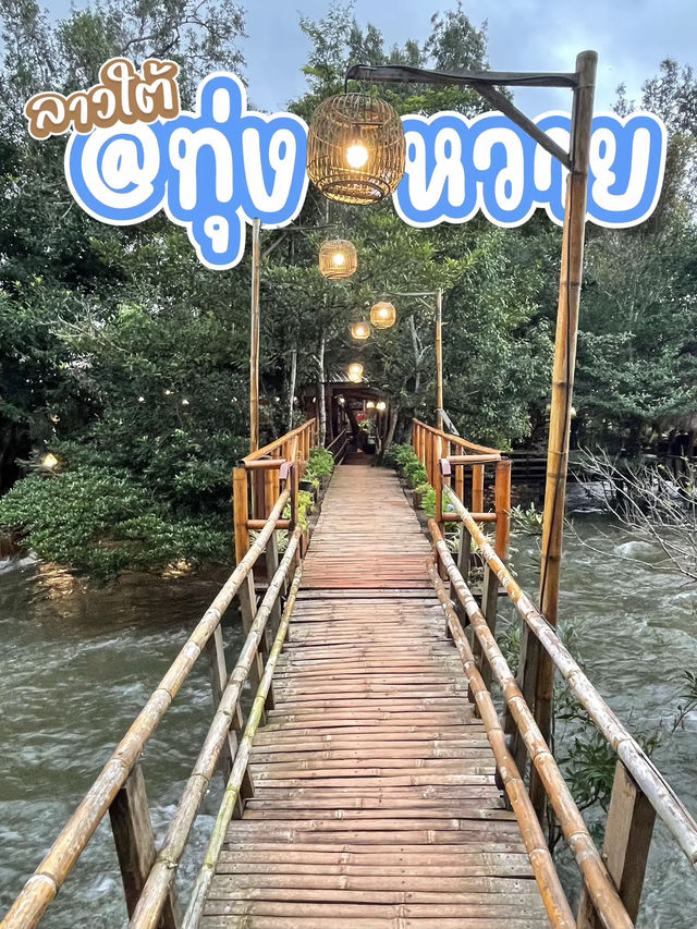 เยือนทุ่งหวาย @ลาวใต้ 2 วัน 1 คืน