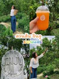 สวนส้ม Jinju เชียงใหม่  🍊