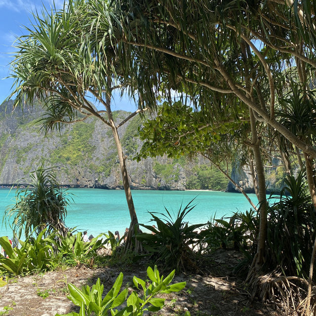 เกาะพีพี (Phi Phi Islands) 🌴🌊 
