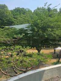 🌴🪵남양주브런치카페 와부읍 「팔숲」