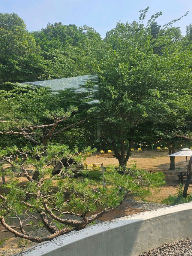 🌴🪵남양주브런치카페 와부읍 「팔숲」