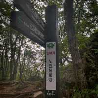 Odaesan Forest