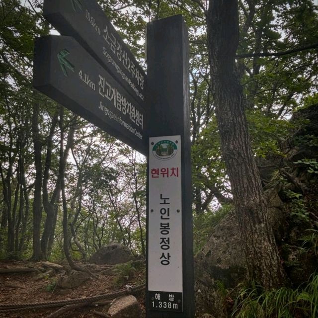 Odaesan Forest