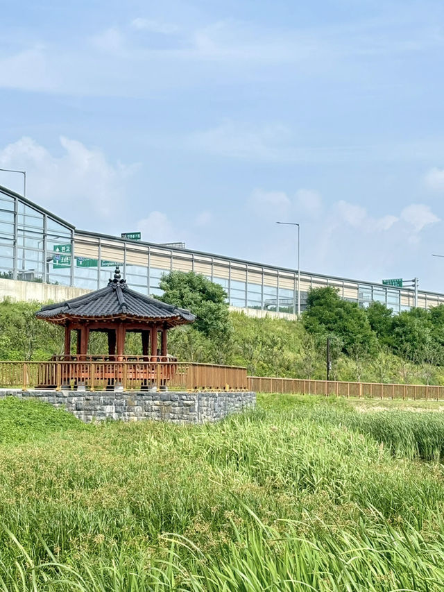 시흥 은계지구 놀러가자!