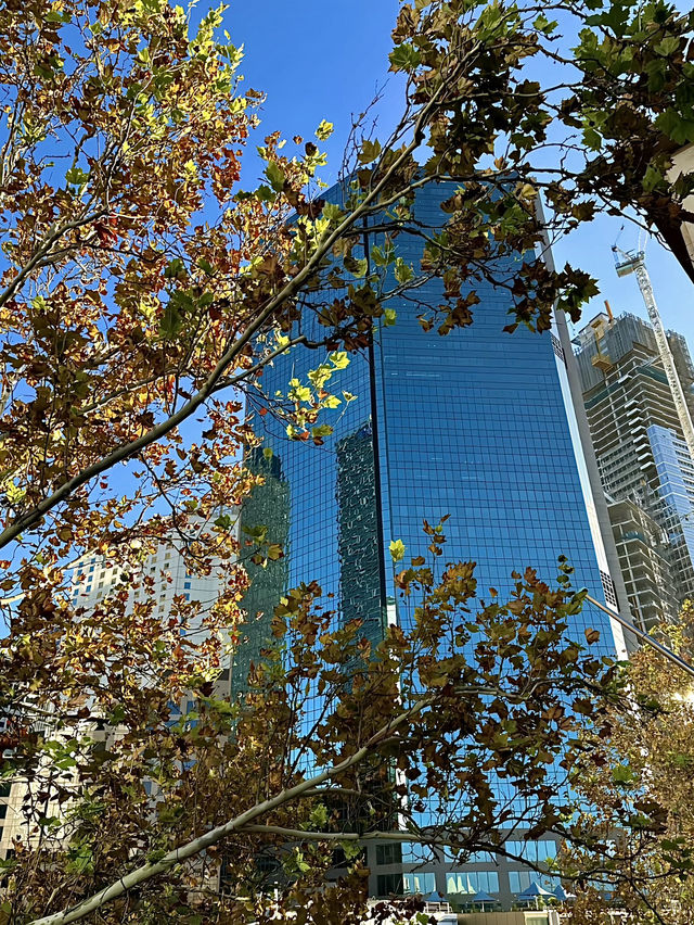ออสเตรเลีย🇦🇺