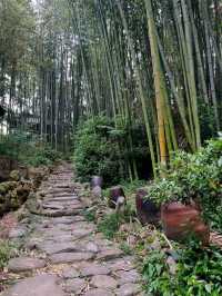 Forest Paths, Temple Vibes, and Total Peace Mode**