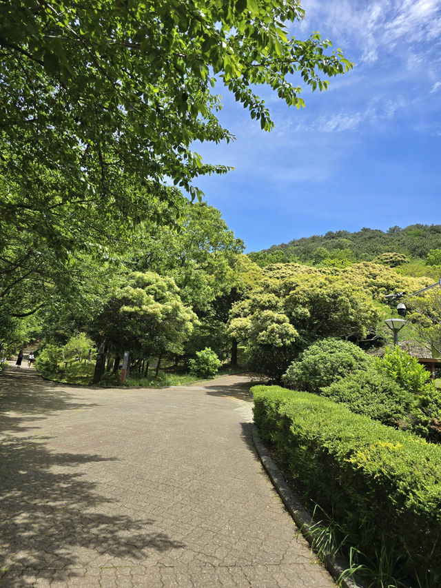 제주 간다면, 한라산을 가장 가까이에서 볼 수 있는 곳