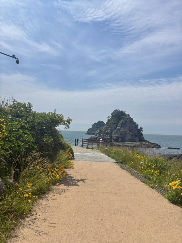 부산여행 오륙도가 훤히 보이는 전망대