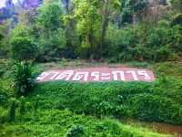 น้ำตกชาติตระการ พิษณุโลก